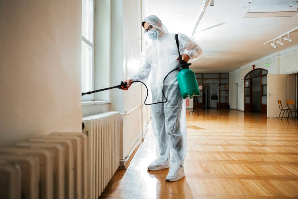 Reliable East Harwich, MA Pest control Solutions